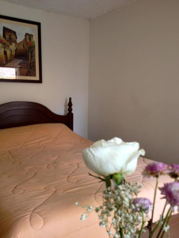 Casa Macondo Bed & Breakfast Cuenca Cameră foto